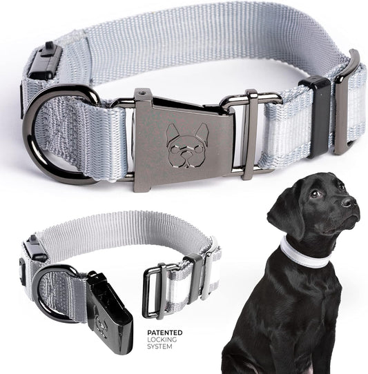 Light up Dog Collars, LED USB Rechargeable Dog Collar, Waterproof & Durable (Grey,S)