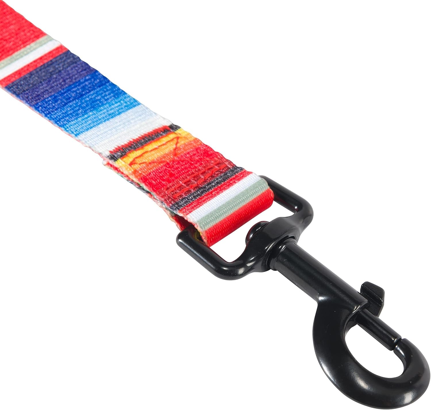 Nomad Dog Leash, Durable Polyester Webbing Leash with Graphic-Inspired Prints, Serape Tijuana, 6'