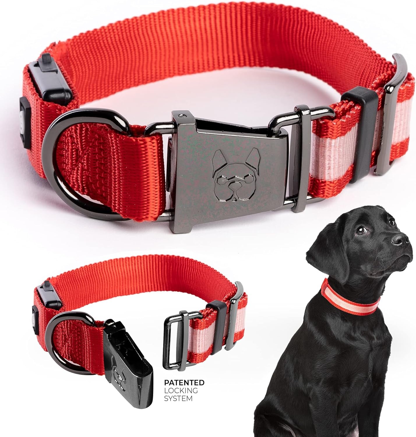 Light up Dog Collars, LED USB Rechargeable Dog Collar, Waterproof & Durable (Red,S)