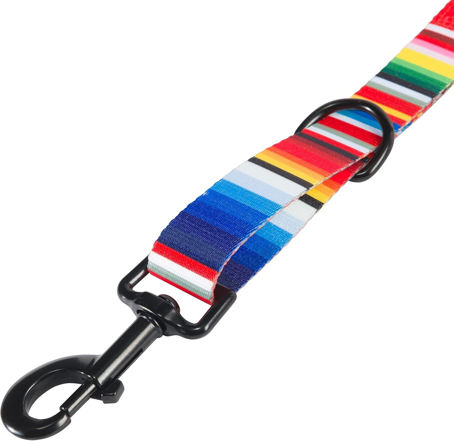 Nomad Dog Leash, Durable Polyester Webbing Leash with Graphic-Inspired Prints, Serape Tijuana, 6'