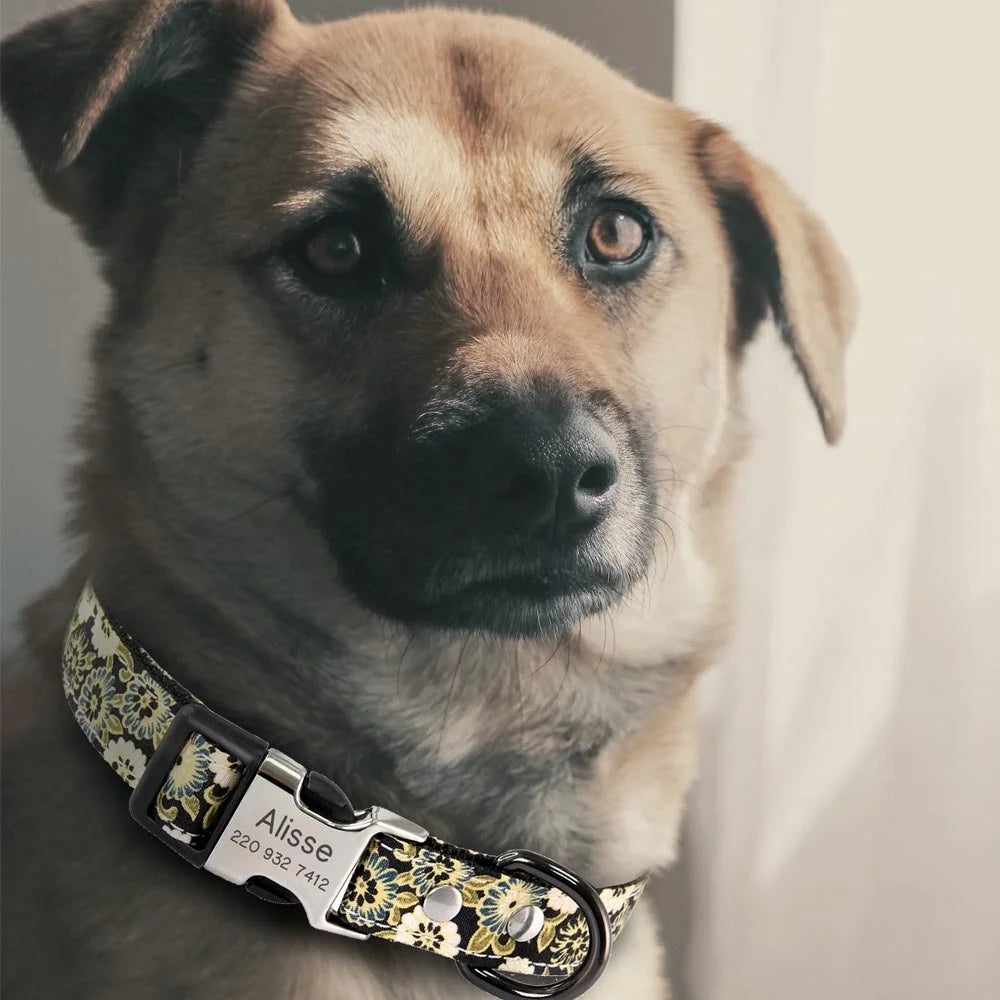 Personalized Dog Collar Name Free Engraved Custom ID Collars for Small Medium Large Dogs Puppy Necklace Pet Leash Pitbull