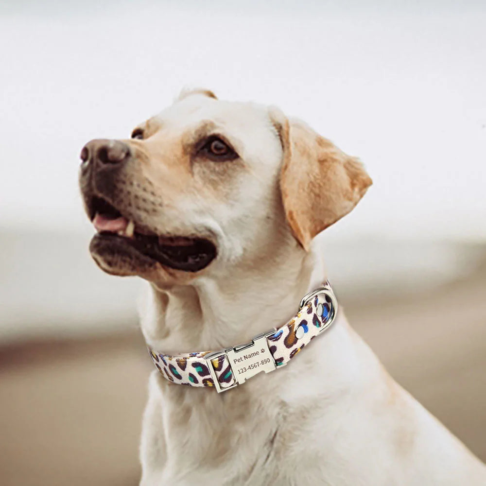 Personalized Dog Collar Name Free Engraved Custom ID Collars for Small Medium Large Dogs Puppy Necklace Pet Leash Pitbull