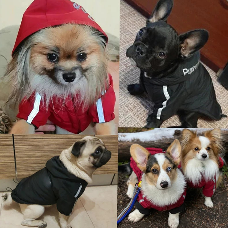 Autumn Winter Pet Dog Waterproof Coat Puppy Warm Cotton Jacket The Dog Face Hoodie Reflective Clothing For Dogs Cats Clothing