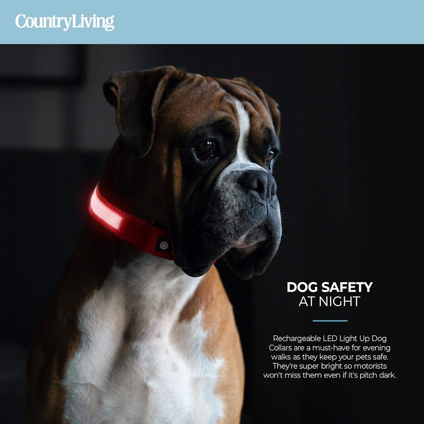 Light up Dog Collars, LED USB Rechargeable Dog Collar, Waterproof & Durable (Red,S)